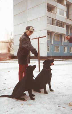 ����� � �����